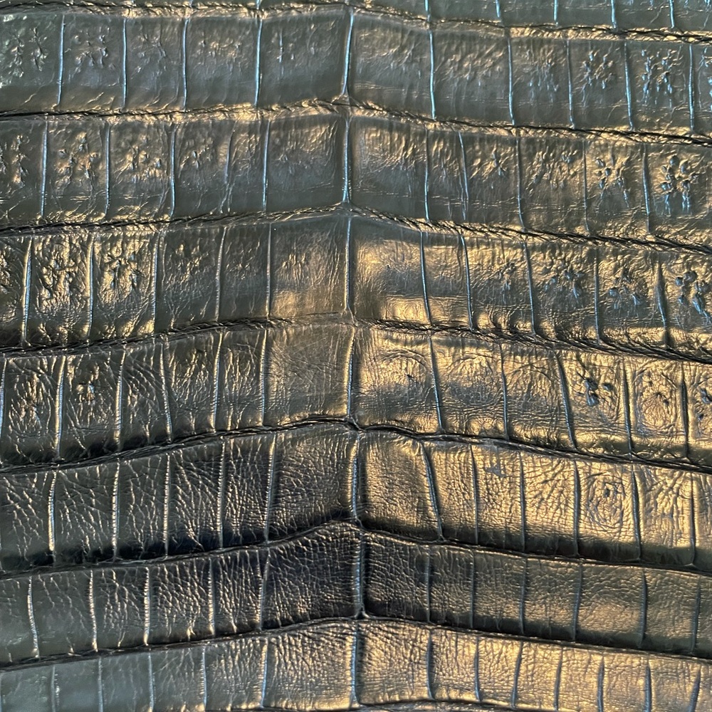 Nancy Gonzalez Crocodile Python Handbag - image 3